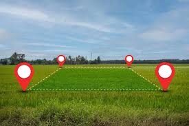 Plot / Land in Borivali